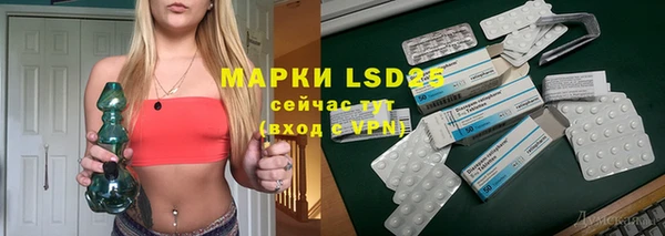 спайс Арсеньев