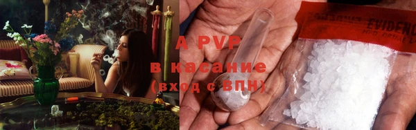 крисы Аркадак