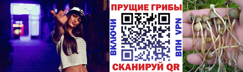 Псилоцибиновые грибы Magic Shrooms OMG как зайти Пучеж магазин продажи наркотиков